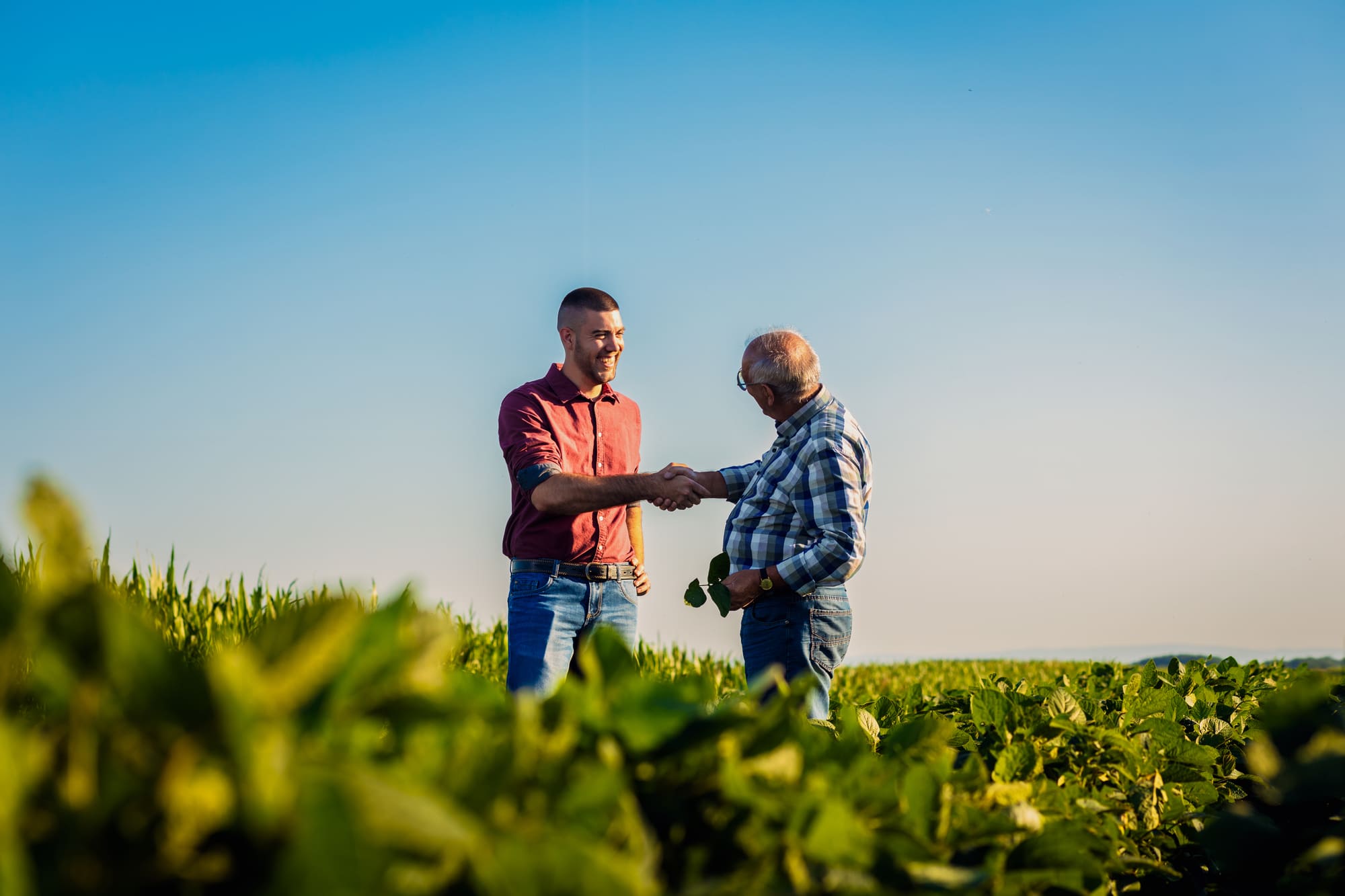 Filosofia_Solvert_Fitosanitaris Los dos propietarios de Solvert Fitosanitaris, empresa familiar agrícola, dándose la mano.